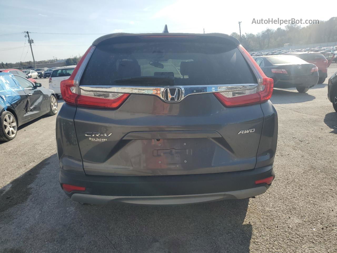 2019 Honda Cr-v Exl Gray vin: 5J6RW2H87KA015341