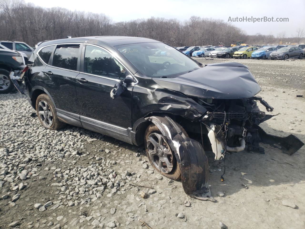 2017 Honda Cr-v Exl Black vin: 5J6RW2H89HL010087