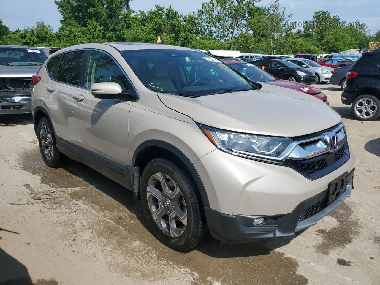 2017 Honda Cr-v Exl Бежевый vin: 5J6RW2H8XHL036679