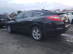 2010 Honda Accord Crosstour Exl Black vin: 5J6TF1H53AL013143