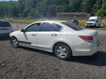 2009 Honda Accord Exl White vin: 5KBCP36869B001757