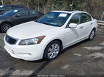 2009 Honda Accord 3.5 Ex-l White vin: 5KBCP36899B002191