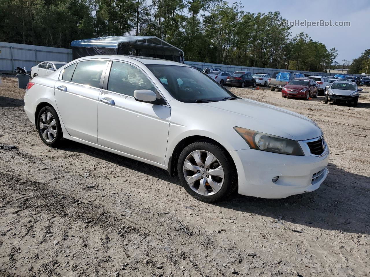 2010 Honda Accord Ex White vin: 5KBCP3F79AB002588