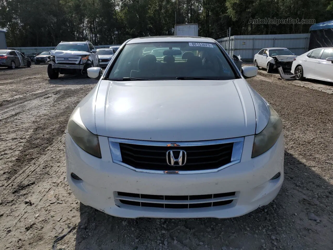 2010 Honda Accord Ex White vin: 5KBCP3F79AB002588