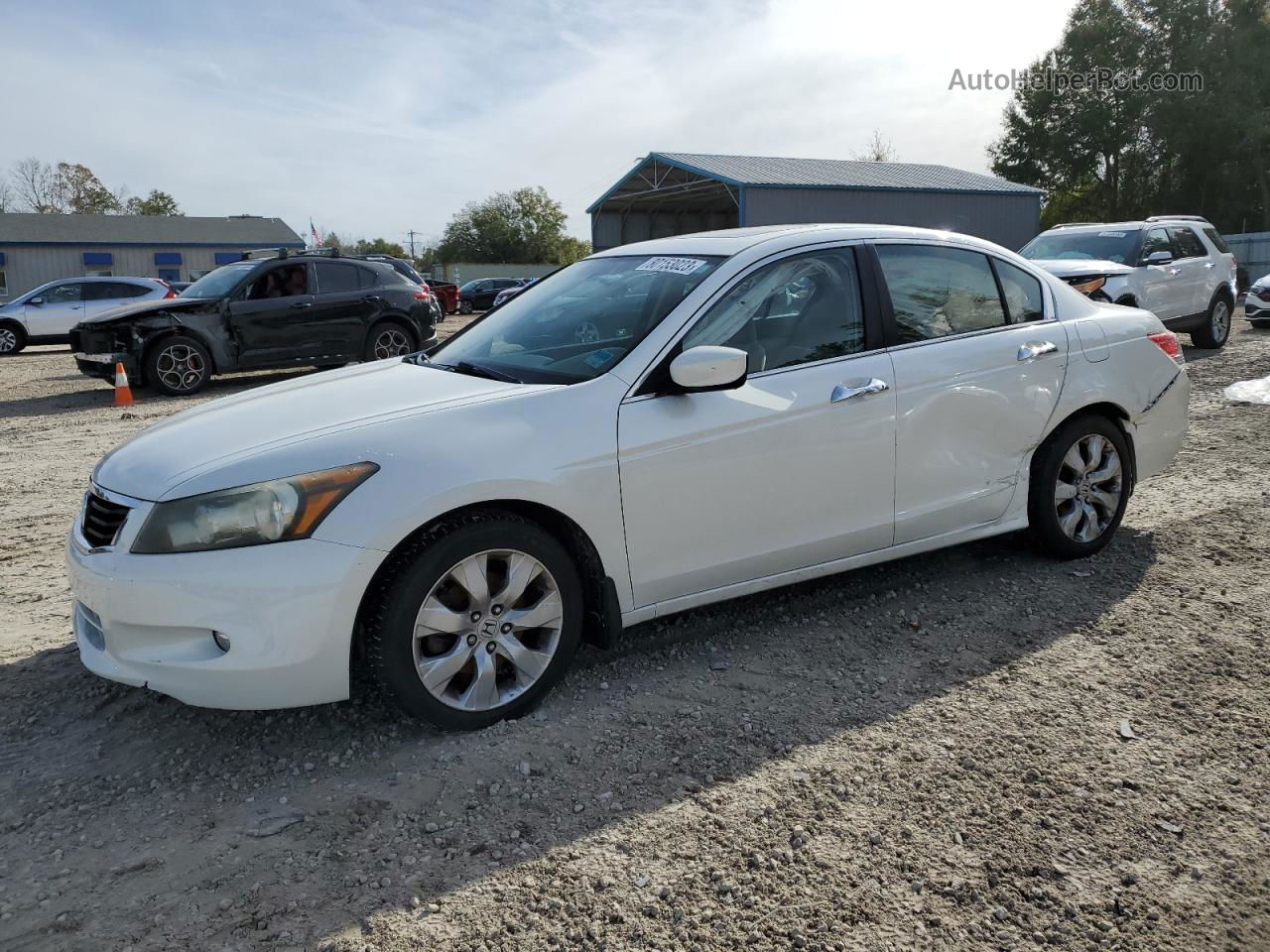 2010 Honda Accord Ex White vin: 5KBCP3F79AB002588