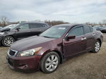 2010 Honda Accord Exl Burgundy vin: 5KBCP3F81AB015148