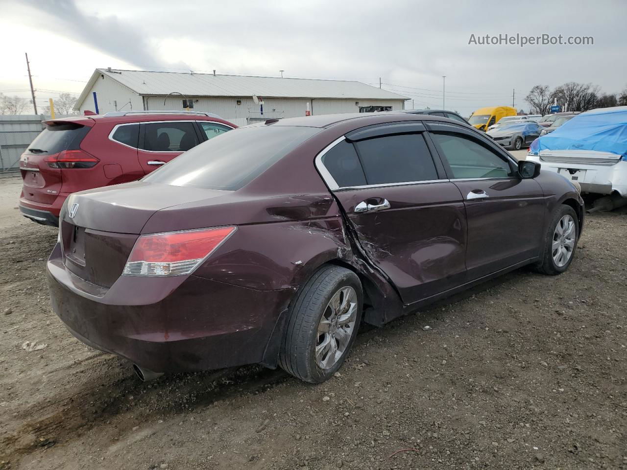 2010 Honda Accord Exl Burgundy vin: 5KBCP3F81AB015148