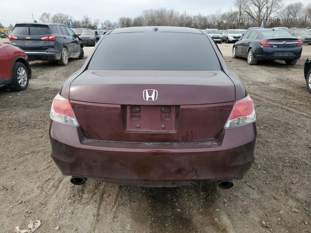 2010 Honda Accord Exl Burgundy vin: 5KBCP3F81AB015148