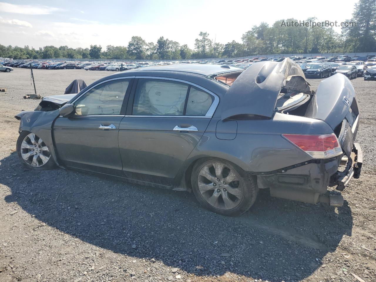 2010 Honda Accord Exl Gray vin: 5KBCP3F89AB003605