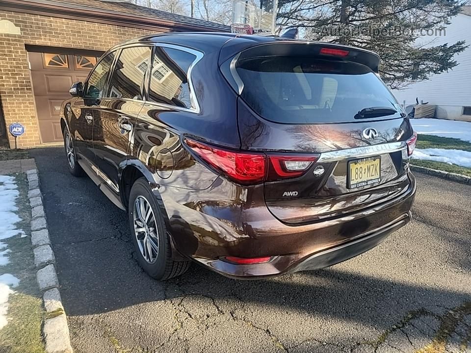 2020 Infiniti Qx60 Luxe/pure/special Edition Коричневый vin: 5N1DL0MM1LC541305