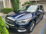 2020 Infiniti Qx60 Luxe Blue vin: 5N1DL0MN8LC511341