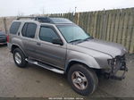 2003 Nissan Xterra Xe Pewter vin: 5N1ED28T23C655943