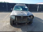 2003 Nissan Xterra Se Gray vin: 5N1MD28Y63C665723