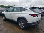 2022 Hyundai Tucson Se White vin: 5NMJACAEXNH016601