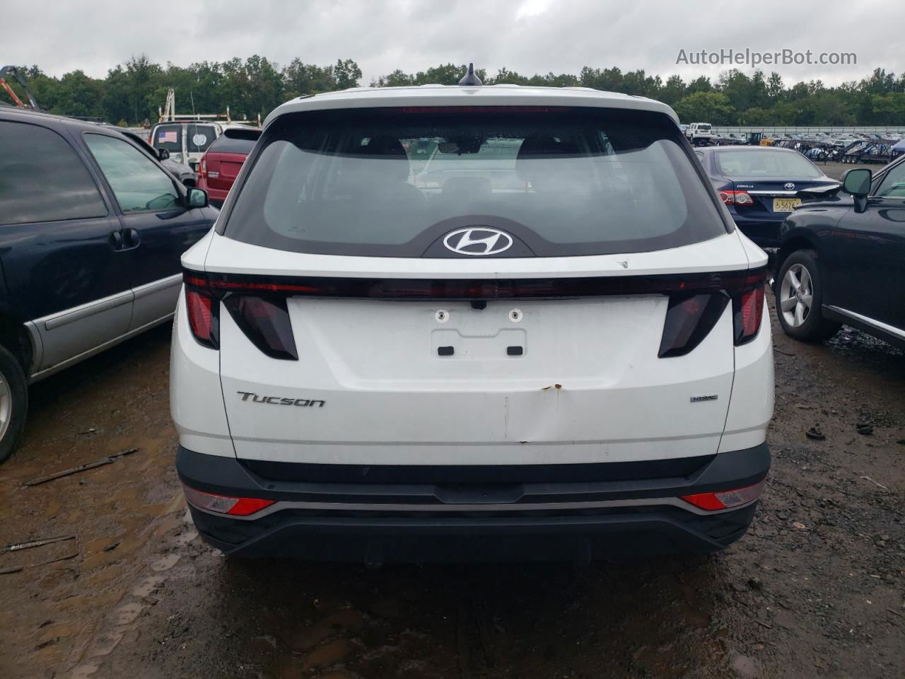 2022 Hyundai Tucson Se White vin: 5NMJACAEXNH016601