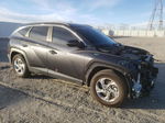 2022 Hyundai Tucson Sel Gray vin: 5NMJB3AE5NH028927