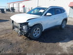 2022 Hyundai Tucson Sel White vin: 5NMJB3AE5NH154740