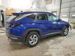 2022 Hyundai Tucson Sel Blue vin: 5NMJBCAE0NH031198