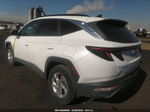 2022 Hyundai Tucson Sel White vin: 5NMJBCAE1NH123677