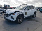 2022 Hyundai Tucson Sel White vin: 5NMJBCAE4NH092652