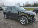 2022 Hyundai Tucson Sel Gray vin: 5NMJBCAE5NH151109