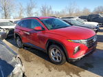 2022 Hyundai Tucson Sel Red vin: 5NMJBCAE6NH137428