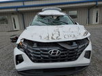 2022 Hyundai Tucson Sel White vin: 5NMJBCAE7NH047897