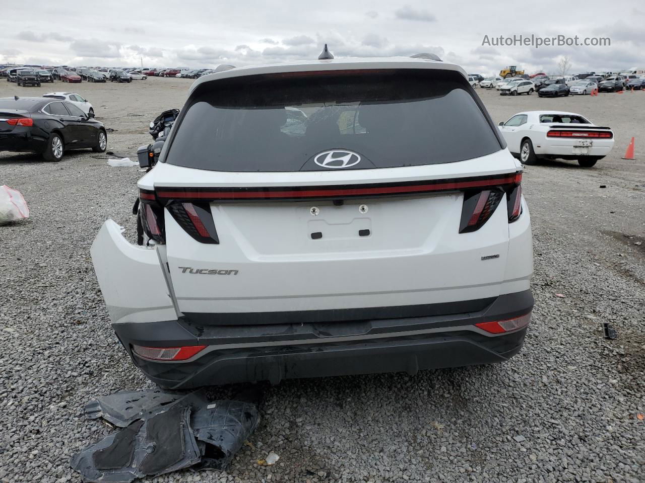 2022 Hyundai Tucson Sel White vin: 5NMJBCAE7NH047897