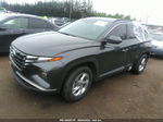 2022 Hyundai Tucson Sel Gray vin: 5NMJBCAE8NH026184