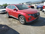 2022 Hyundai Tucson Sel Red vin: 5NMJBCAE9NH036660