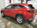 2022 Hyundai Tucson Sel Red vin: 5NMJBCAEXNH076536