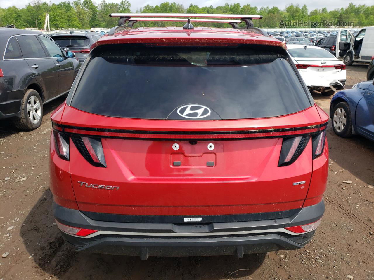 2022 Hyundai Tucson Sel Red vin: 5NMJCCAE3NH036599