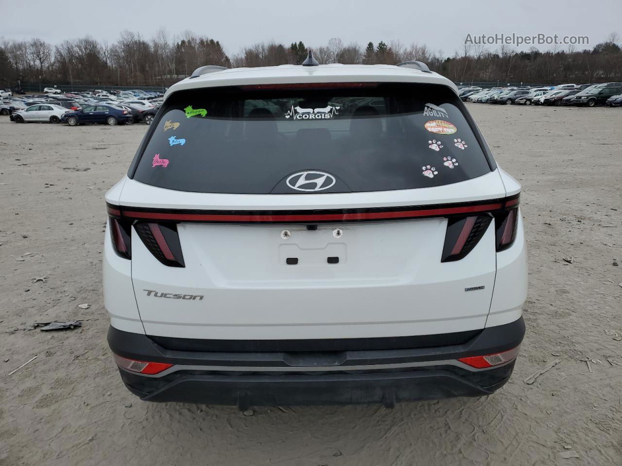 2022 Hyundai Tucson Sel White vin: 5NMJFCAE2NH078057