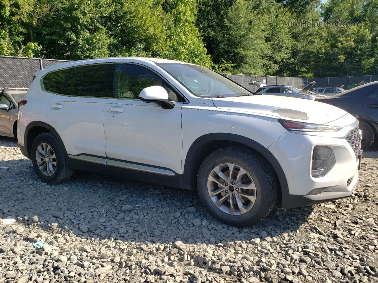 2020 Hyundai Santa Fe Sel White vin: 5NMS33AD3LH143483