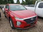 2020 Hyundai Santa Fe Sel Red vin: 5NMS3CAD6LH274892