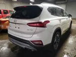 2020 Hyundai Santa Fe Limited Белый vin: 5NMS5CAA4LH279881