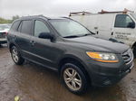 2010 Hyundai Santa Fe Gls Green vin: 5NMSG3AB2AH395192