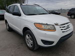 2010 Hyundai Santa Fe Gls Белый vin: 5NMSG3AB2AH406773