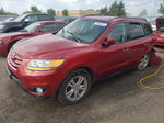 2010 Hyundai Santa Fe Gls Red vin: 5NMSG4AG4AH334394