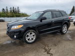 2010 Hyundai Santa Fe Gls Black vin: 5NMSG4AG6AH372273