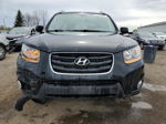 2010 Hyundai Santa Fe Gls Black vin: 5NMSG4AG6AH372273