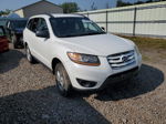 2010 Hyundai Santa Fe Gls Белый vin: 5NMSGDAB5AH337907