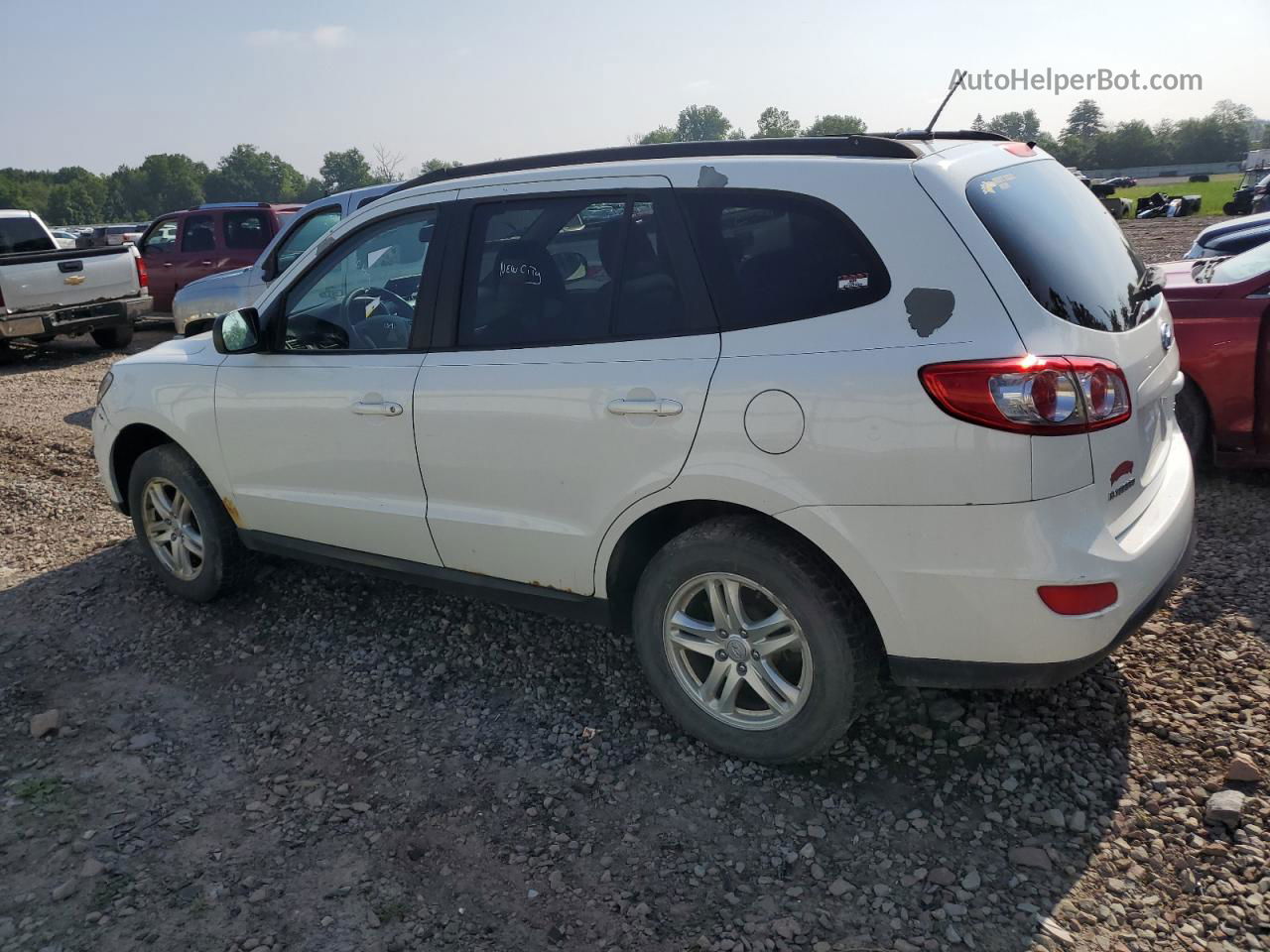 2010 Hyundai Santa Fe Gls Белый vin: 5NMSGDAB5AH337907