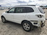 2010 Hyundai Santa Fe Gls Белый vin: 5NMSGDAB5AH365206