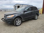 2010 Hyundai Santa Fe Gls Черный vin: 5NMSGDAB7AH351629