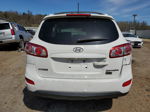 2010 Hyundai Santa Fe Se Белый vin: 5NMSH4AG2AH353295