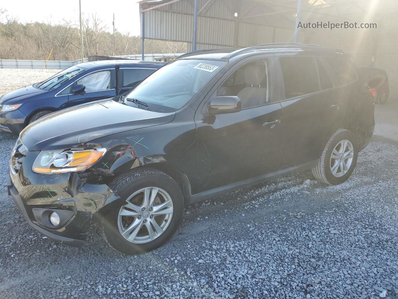 2010 Hyundai Santa Fe Se Black vin: 5NMSH4AG6AH403129