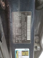 2010 Hyundai Santa Fe Se Blue vin: 5NMSH4AG7AH386924