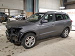 2010 Hyundai Santa Fe Se Gray vin: 5NMSH4AGXAH395827