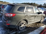 2010 Hyundai Santa Fe Se Серый vin: 5NMSHDAG3AH337980